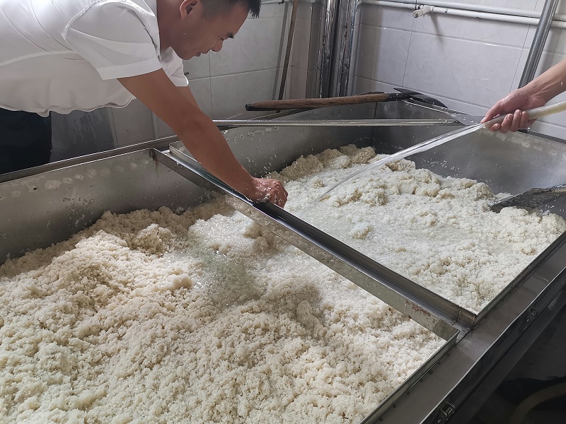 4蒸煮完成，開始淋飯2