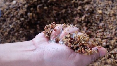 用小型燒酒設(shè)備蒸酒時，酒醅含水量也會影響白酒口感和出酒率？