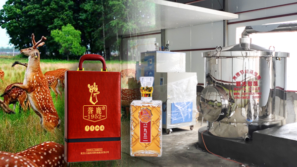用大型釀酒設(shè)備釀鹿茸酒，走出黑龍江生態(tài)旅游發(fā)展特色之路！
