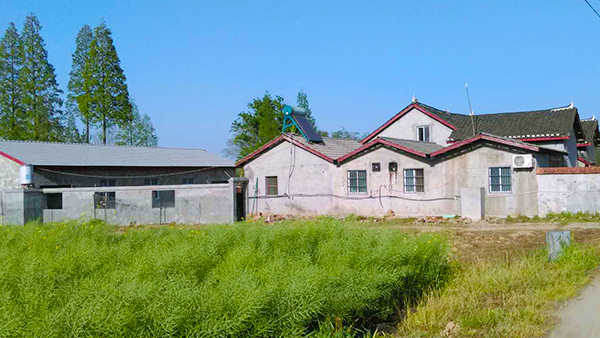 地質(zhì)大學(xué)教授退休后，在效區(qū)開(kāi)了家窖藏酒坊