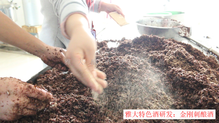 新型釀酒設備釀造的金剛刺酒賣188元一斤，唐總卻不知足…