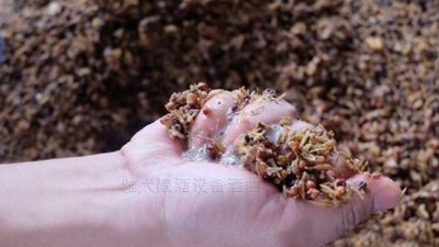 小型酒廠釀酒設(shè)備蒸酒時(shí)，酒醅含水量與酒質(zhì)有何關(guān)系？