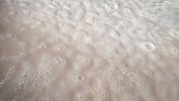 驚！用白酒蒸餾設(shè)備釀酒，加水發(fā)酵的作用竟然這么大！