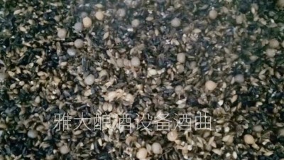 用小型酒廠釀酒設(shè)備做黑大麥酒，開(kāi)家個(gè)性化的釀酒作坊！