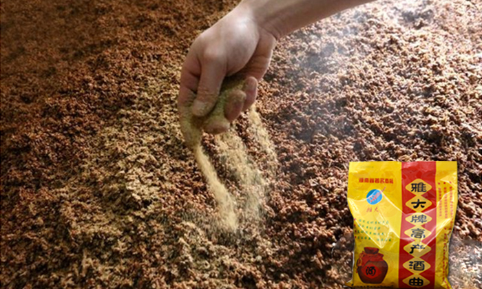 9.1無糠殼高粱固態(tài)釀酒技術—加入酒曲