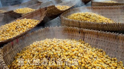 看過來，用玉米釀酒設(shè)備制作整料玉米酒的標(biāo)準(zhǔn)教程在這里！