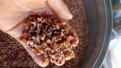 用高粱釀酒設(shè)備做高粱酒時(shí)不加糠殼，可以釀出酒來嗎？