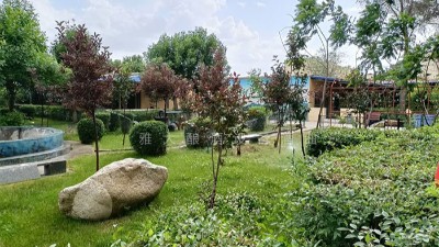 女孩屢次創(chuàng)業(yè)失敗后，用釀白酒設(shè)備開(kāi)酒坊，分店開(kāi)了一家又一家