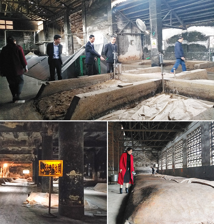 11--雅大科技董事長(zhǎng)胡順開(kāi)帶你探訪(fǎng)60年濃香老酒坊-窖池