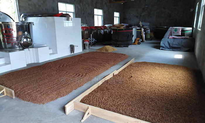 6.24高粱釀酒技術-糖化