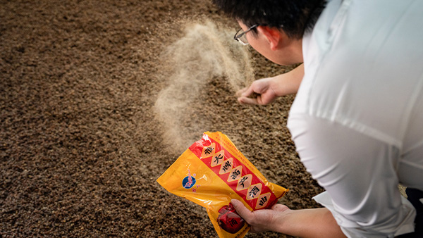 要釀酒先識(shí)曲，為什么說酒曲才是決定香型的關(guān)鍵因素？