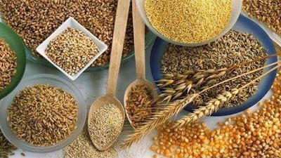 用小型白酒設(shè)備純糧酒藏著如此多的秘密，純糧原料至關(guān)重要