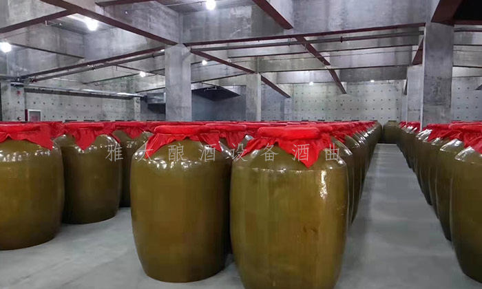 11.22哪種酒適合長期儲存？