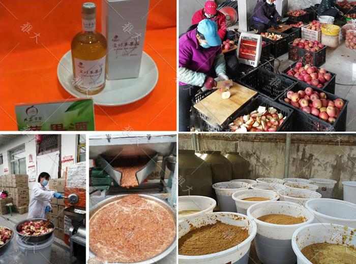 大型釀酒設(shè)備做蘋果酒，“花樣”賺錢