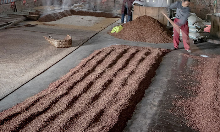 10.10想釀出好酒，經(jīng)驗(yàn)手法很重要