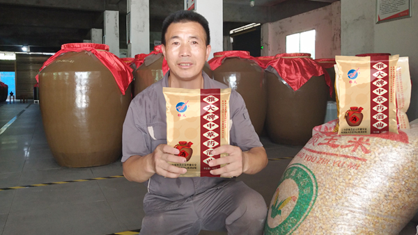 想釀造正宗的農(nóng)家土酒，卻找不到合適的酒曲怎么辦？