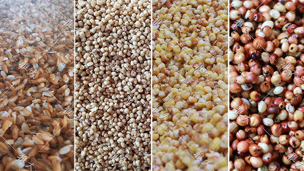 用做酒設(shè)備開(kāi)酒坊銷路打不開(kāi)，可自從做多糧酒后……