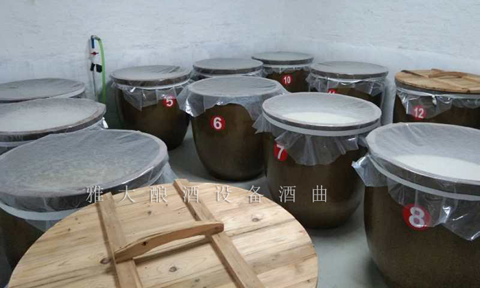 12.26干凈整潔的發(fā)酵車間、科學(xué)的管理