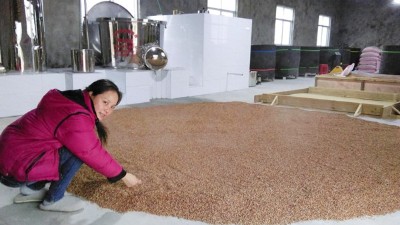 蒸餾釀酒設(shè)備釀酒的兩條路徑，決定了白酒的口感和出酒率！