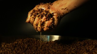 傳統(tǒng)老酒坊得不到傳承怎么辦？試試這款小型酒廠釀酒設(shè)備